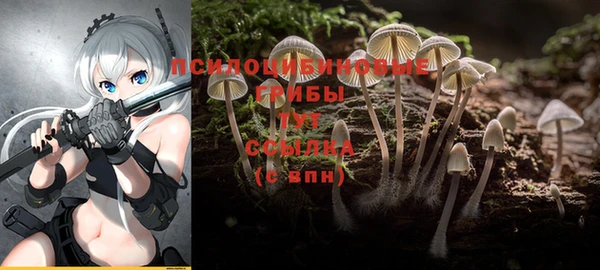 героин Новозыбков