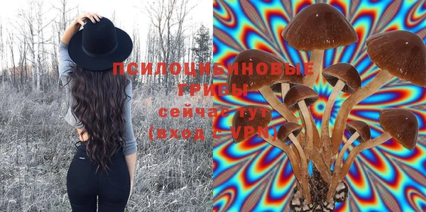 мескалин Новодвинск