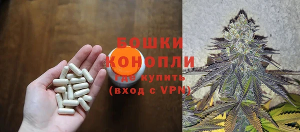мескалин Новодвинск