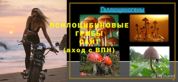 прущие крисы Новокубанск
