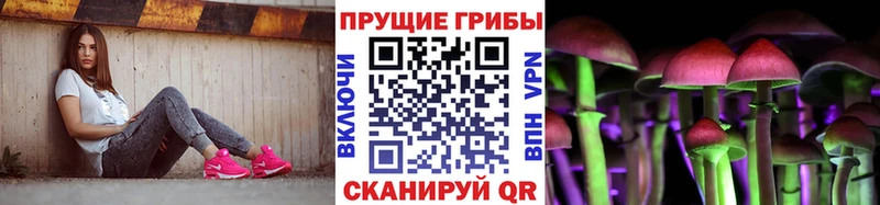 Галлюциногенные грибы ЛСД  купить наркоту  Димитровград 