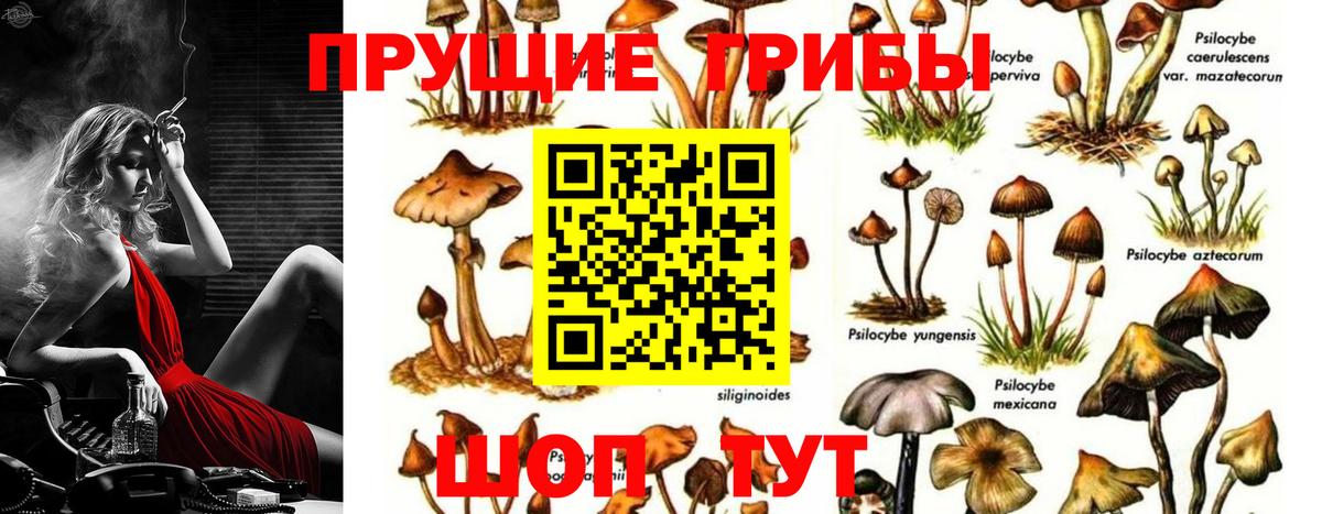 Галлюциногенные грибы ЛСД Димитровград