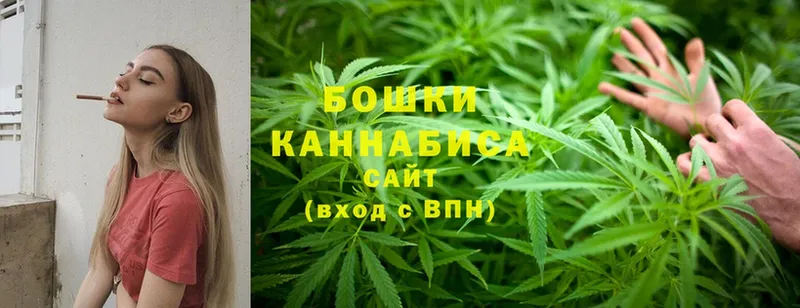 МАРИХУАНА SATIVA & INDICA  Димитровград 